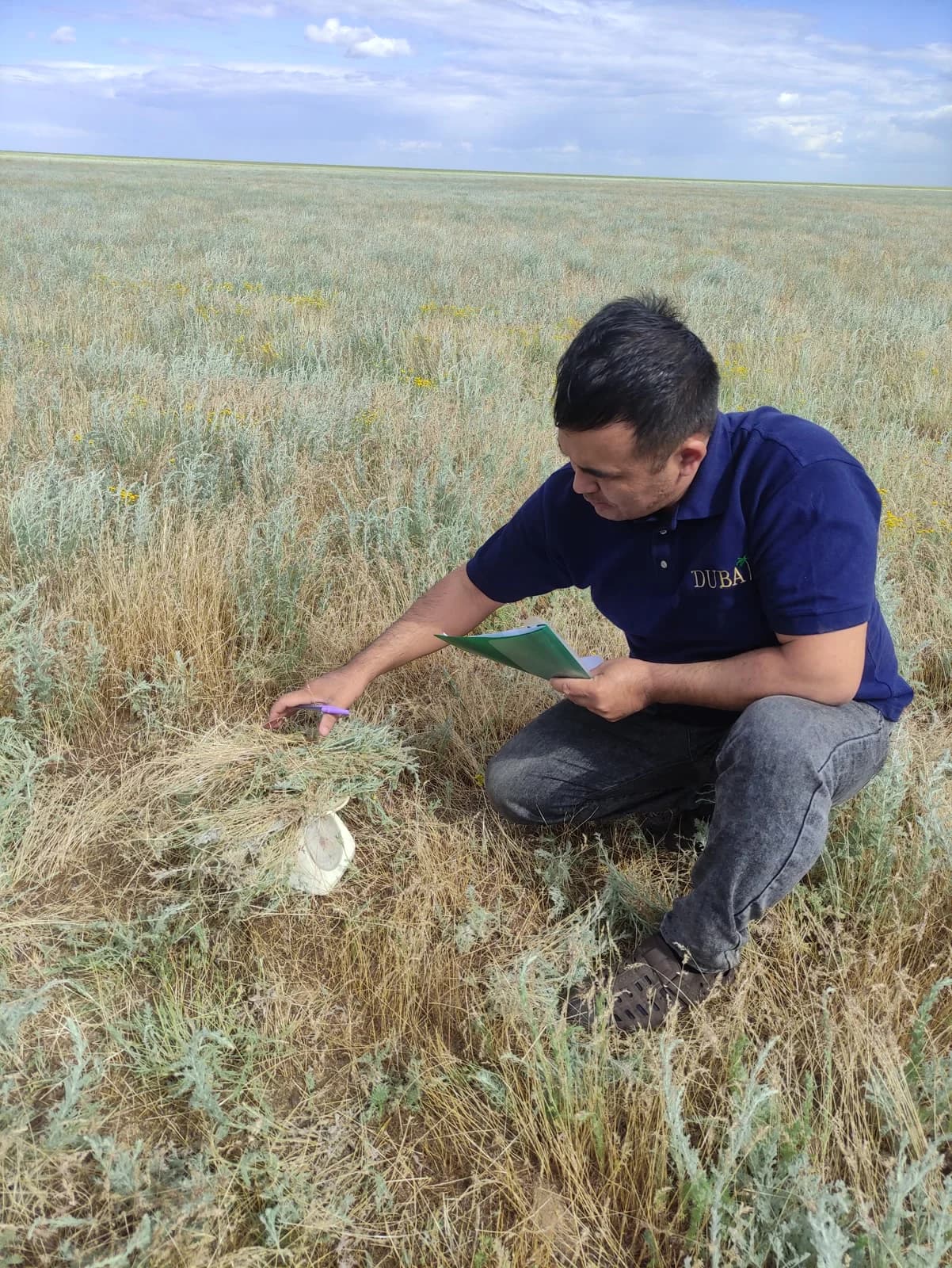 Field researcher recording vegetation samples