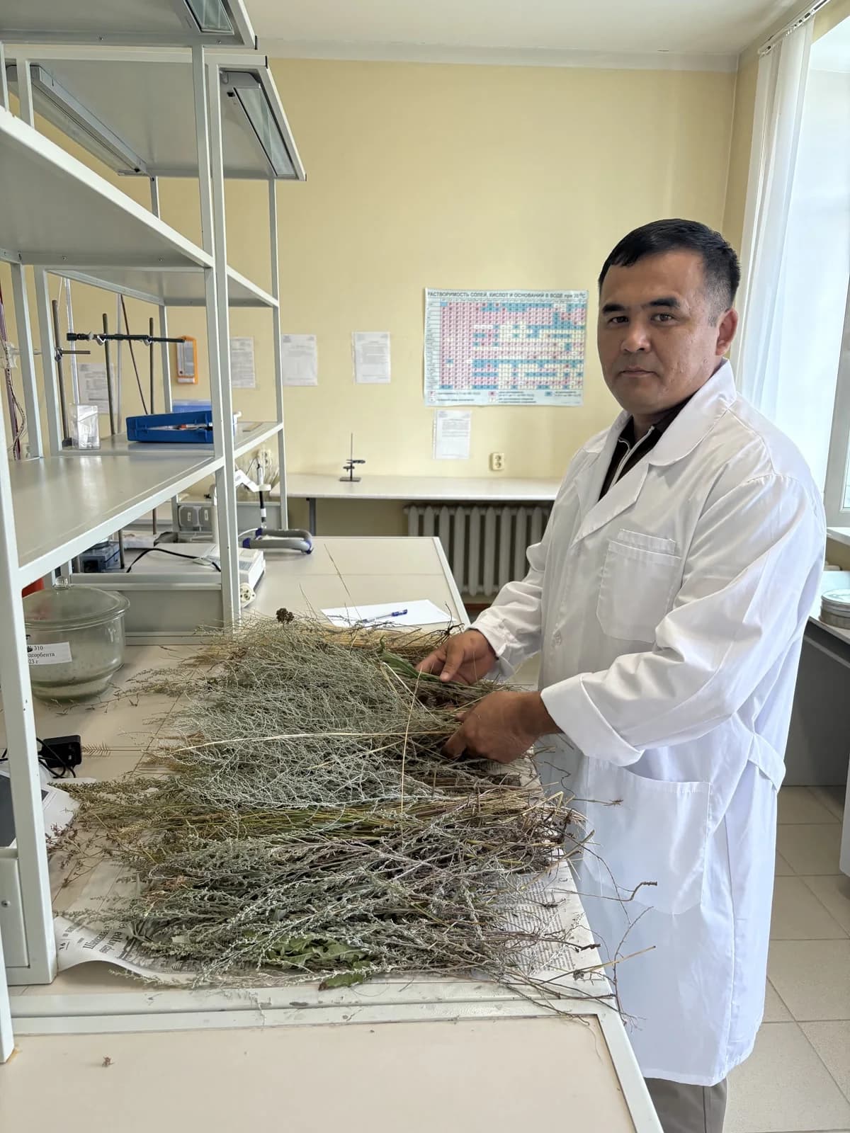 Laboratory analysis of vegetation samples