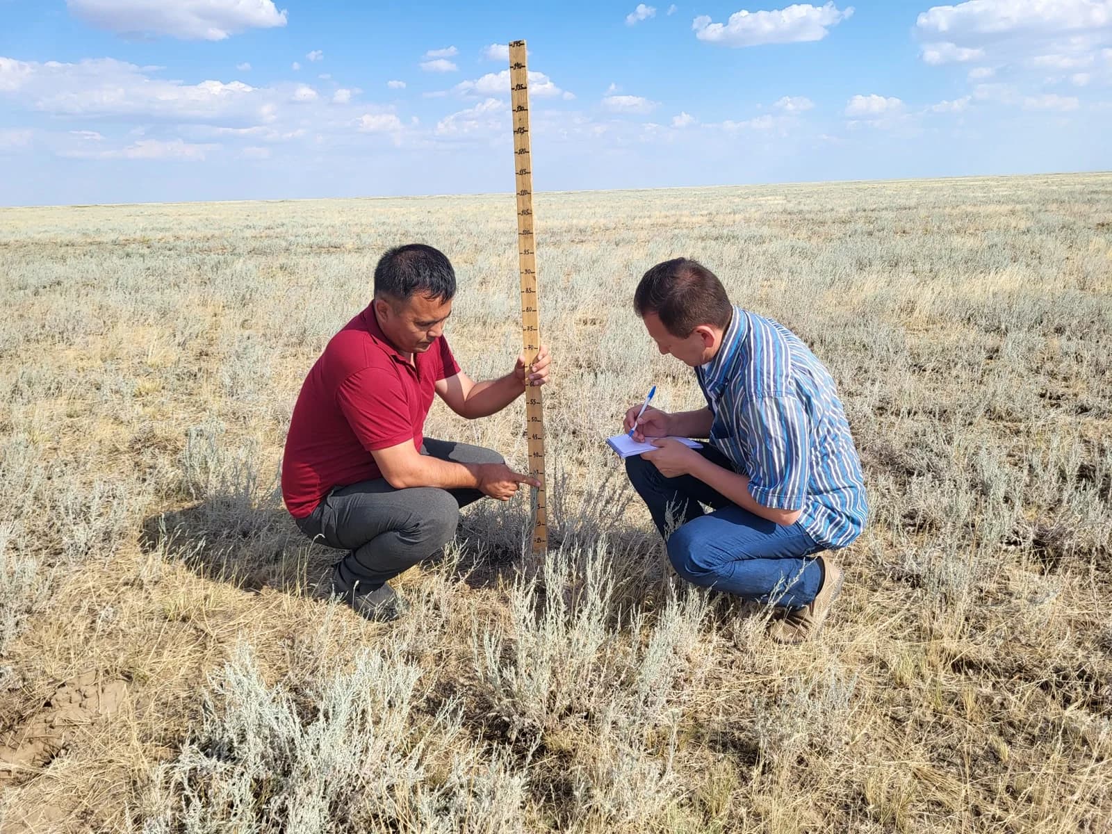 Field researchers recording pasture measurements