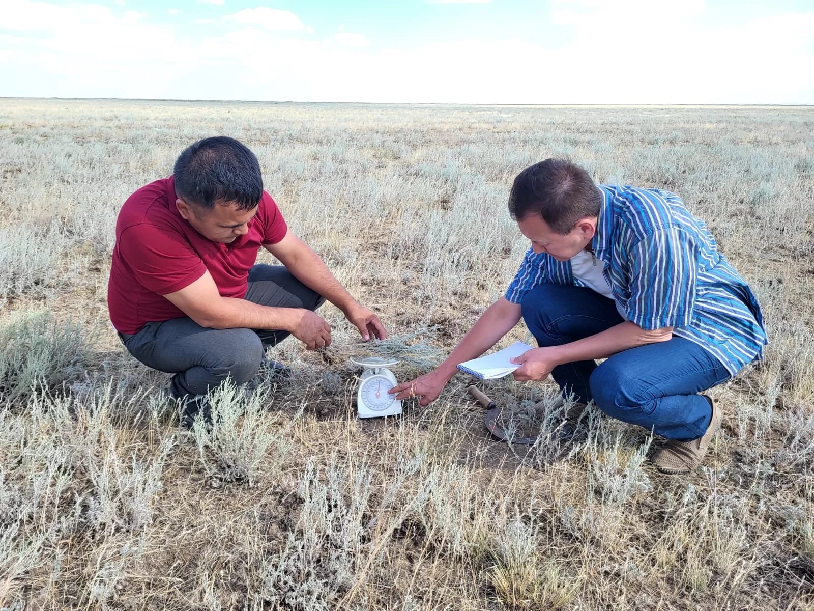 Field researchers weighing vegetation samples