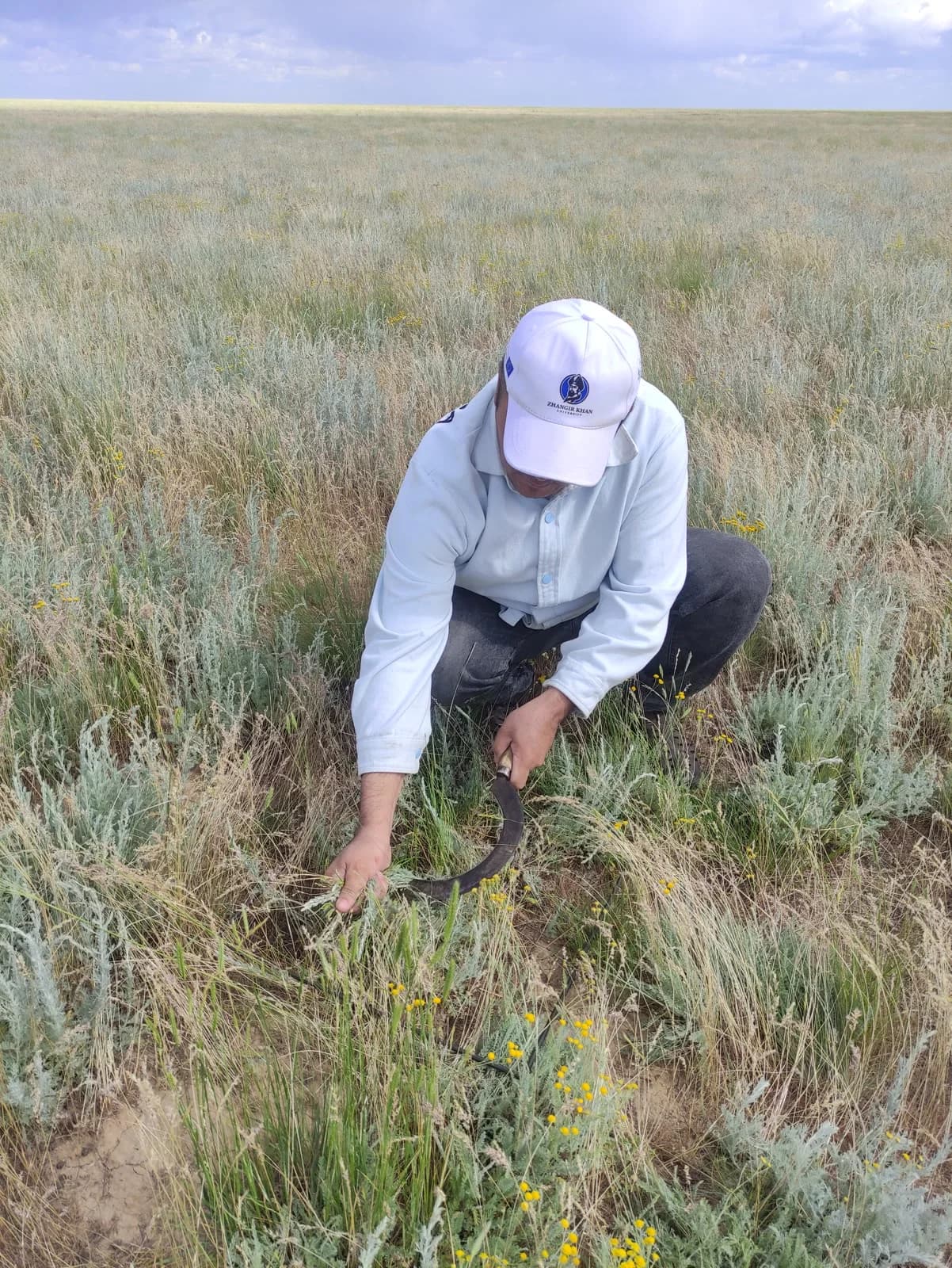 Researcher collecting vegetation samples in the pasture