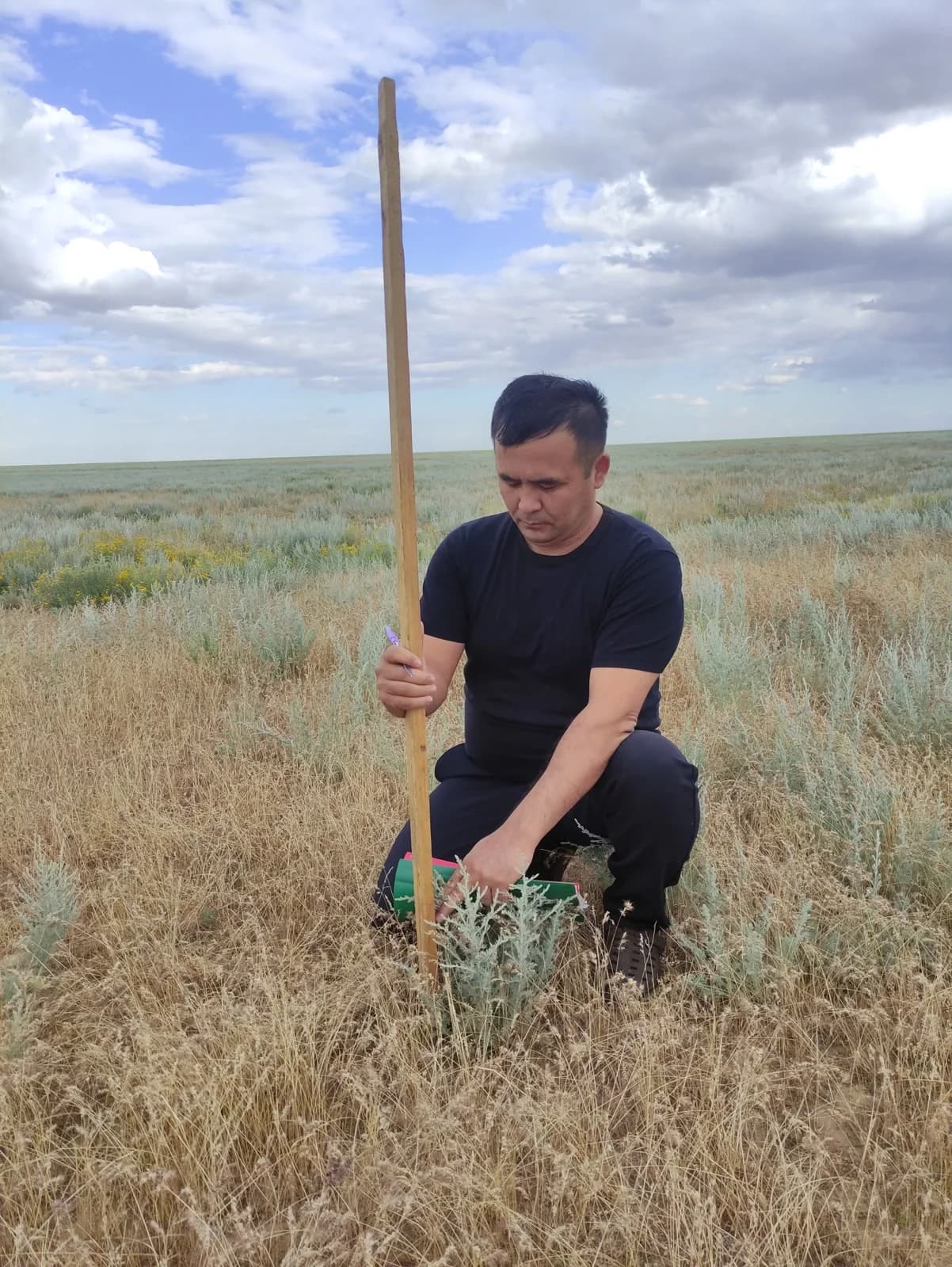 Researcher sampling vegetation in the steppe