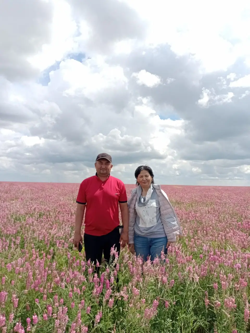 Rodina forage crop field during the scientific project visit